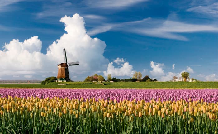 Vmbo Nederlands