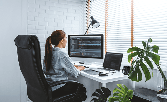 Programmeren voor Beginners + SQL