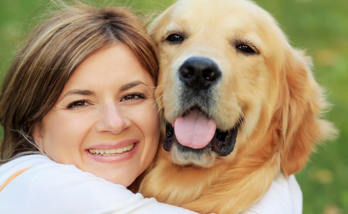 Alles over de Hond